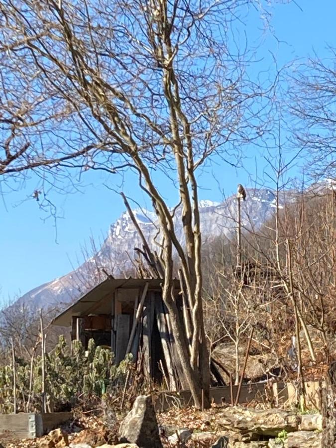 Les Hauts Des Durnieres Aiguebelle ภายนอก รูปภาพ